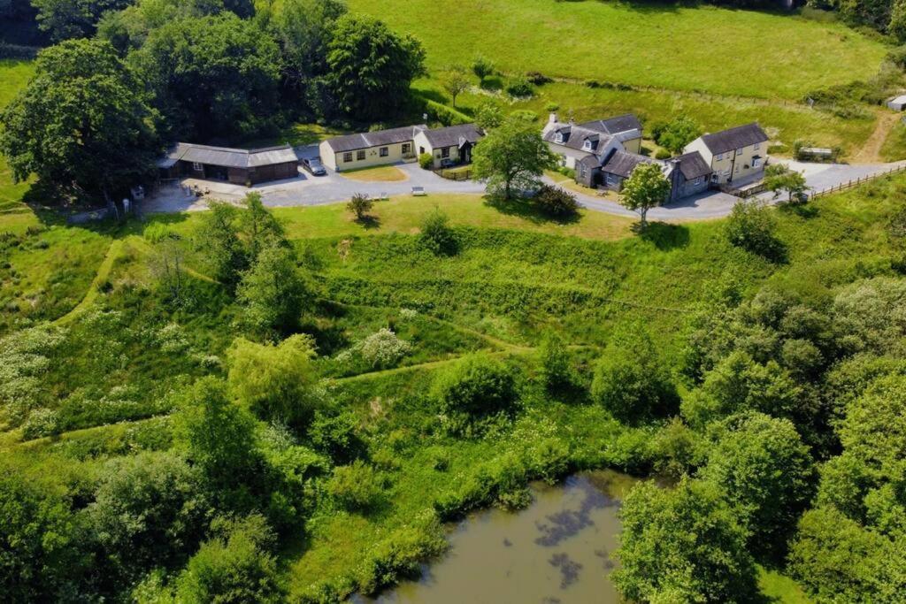 Buttercup Saundersfoot Exterior foto