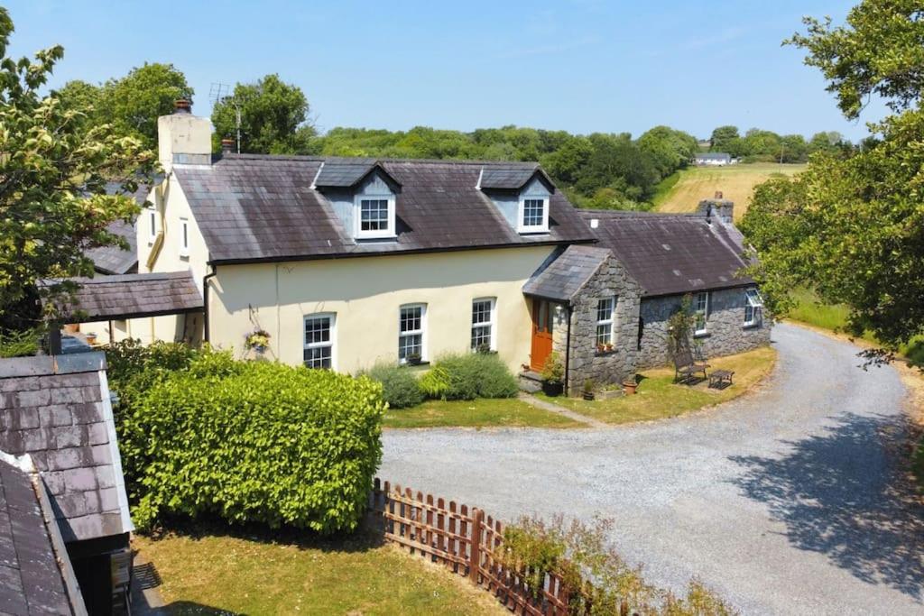 Buttercup Saundersfoot Exterior foto